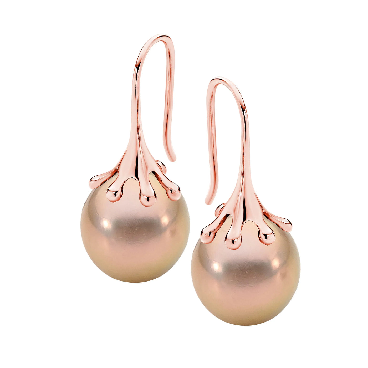 Sterlig Silver Rose Gold plated pink round Edison 12mm Fresh Water Pearl hook earrings